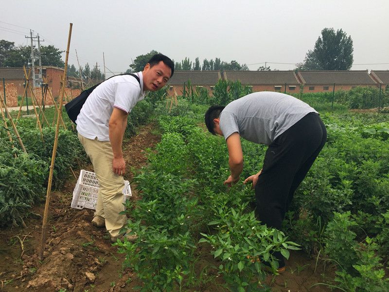 好利來(lái)郭總喊您來(lái)摘菜啦！綠色無(wú)公害，放心！