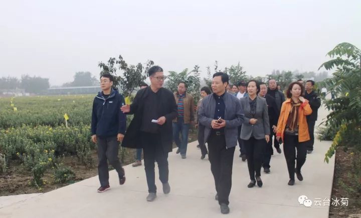 云臺冰菊基地發(fā)生了什么？一批批領導專家團隊前來！
